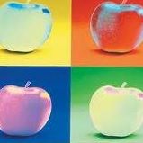 Alice Conner Photo 33