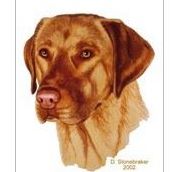 Margaret Hartman Photo 16