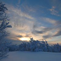 Anita Seitz Photo 14