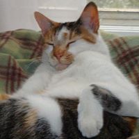 Tracy Langford Photo 15