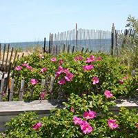 Maryann Proctor Photo 1