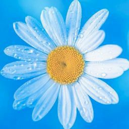 Angela Aguilar Photo 20