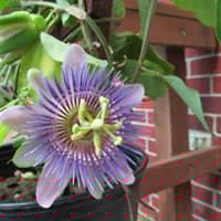 Margaret Powers Photo 27