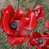 Paul Cummins Photo 21