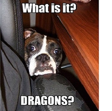 Joseph Fitzsimmons Photo 8