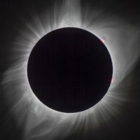 Frederick Morris Photo 21 Frederick Morris Photo 21