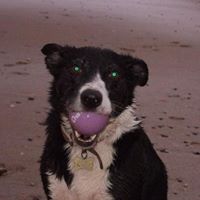 Vicki Broadbent Photo 4