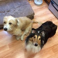 Jennifer Tsai Photo 22