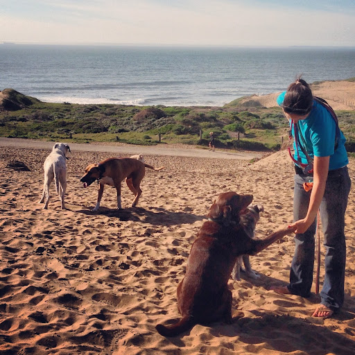 Susan Blanchard Photo 28