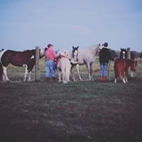 Jodi Jenkins Photo 21