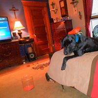Chris Roehl Photo 10