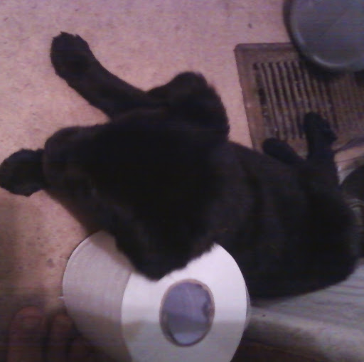 Brenda Taylor Photo 15