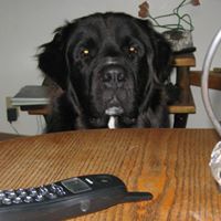 Judy Sisson Photo 8