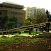 Alfred Deleon Photo 10