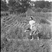 Lynn O'Brien Photo 13