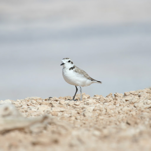 Kristen Heath Photo 10