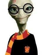 Paul Potter Photo 13