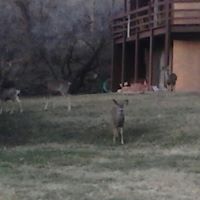 Carl Montgomery Photo 34 Carl Montgomery Photo 34