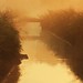 Dawn Canale Photo 3