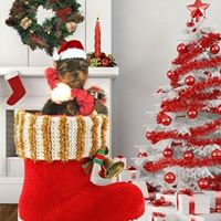 Kathryn Harrison Photo 41 Kathryn Harrison Photo 41