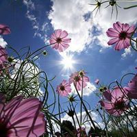 Charlene Kelly Photo 24