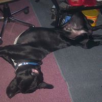 Chris Dunbar Photo 21