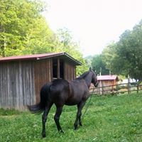 Cindy Tackett Photo 18