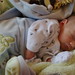 Victor Weeks Photo 31