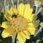 Sheri Edwards Photo 24