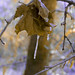 Beth Dinsmore Photo 14