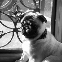 Sandra Pollard Photo 40