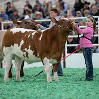 Travis Kauffman Photo 35 Travis Kauffman Photo 35