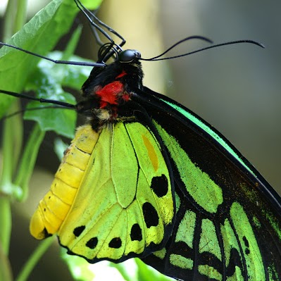 Vickie Stewart Photo 26