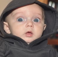 Kimberly Phelps Photo 13