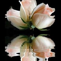 Judy Mercer Photo 24