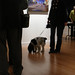 Allen Fine Photo 6