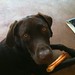 Randy Shields Photo 6