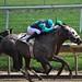Kendrick Downs Photo 4