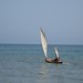 Beth Goetz Photo 14