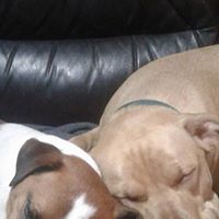 Darrell Jensen Photo 13