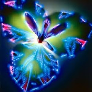 Julian Stevenson Photo 14