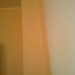 Gisselle Torres Photo 8