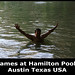 Austin Hamilton Photo 14