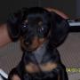 Susan Crabtree Photo 28