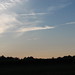 Ann Spring Photo 23