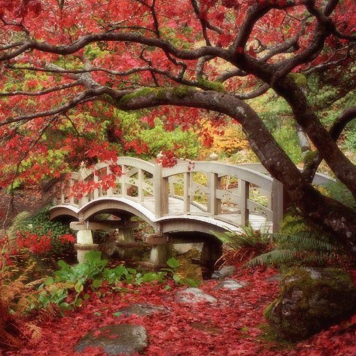 Laura Black Photo 26
