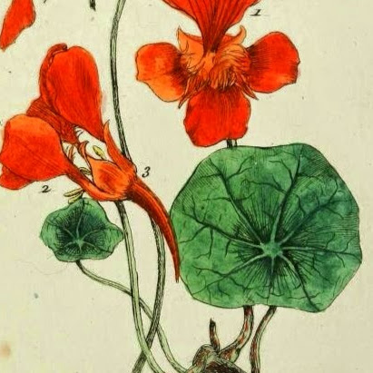 Catherine Barnes Photo 28