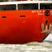 Arthur Stern Photo 12