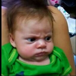 Tracey Stewart Photo 13