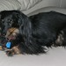Joy Weiner Photo 14